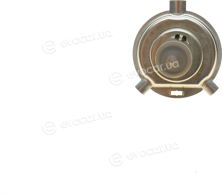 Narva 488983000