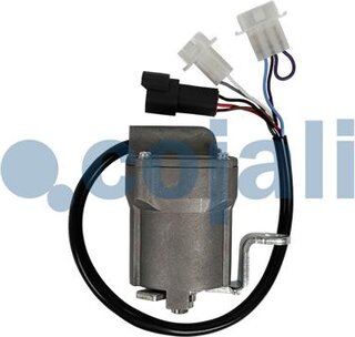Cojali 2260944