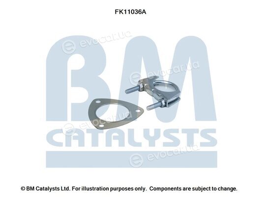 BM Catalysts FK11036