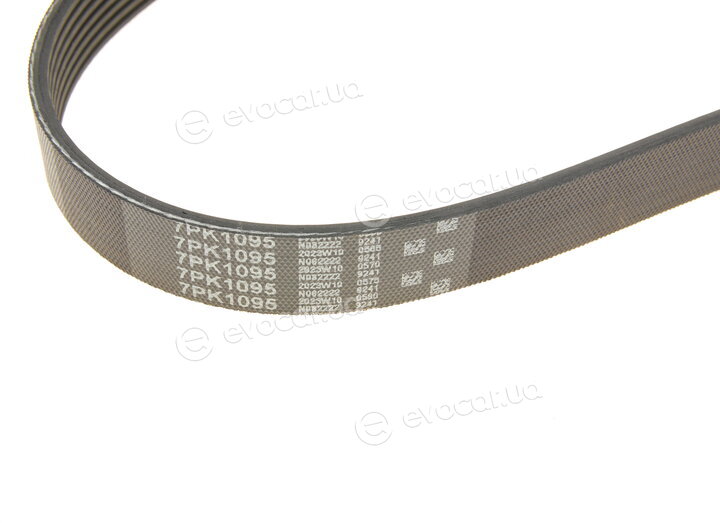Gates 7PK1095