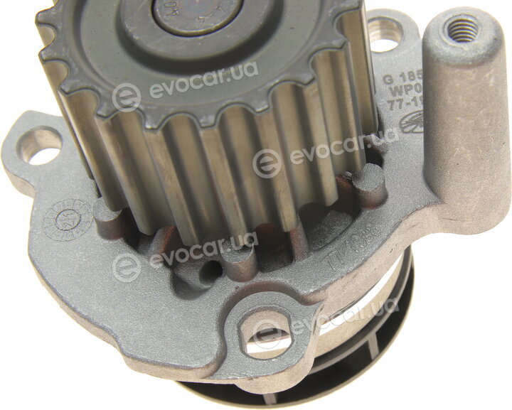Gates KP55569XS-4