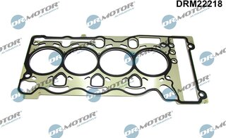 Dr. Motor DRM22218