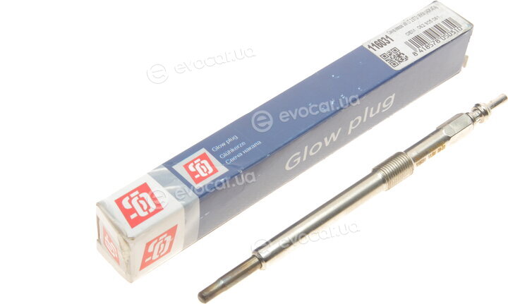 Solgy 116031