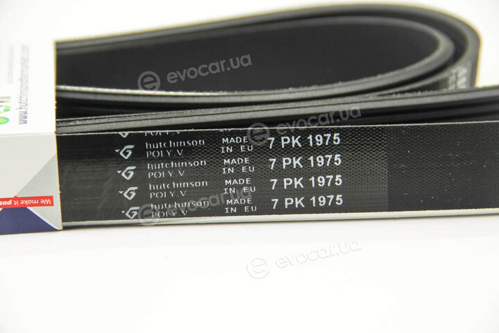Hutchinson 1975 K 7
