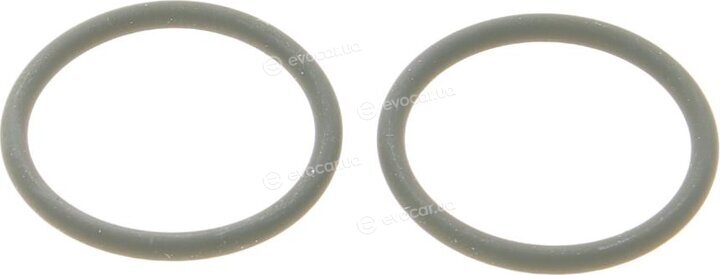 Elring 373.100
