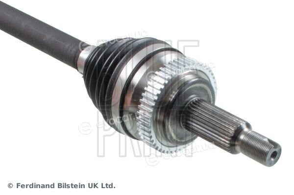 Blue Print ADBP890078