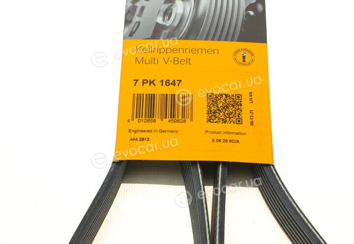 Continental 7PK1647