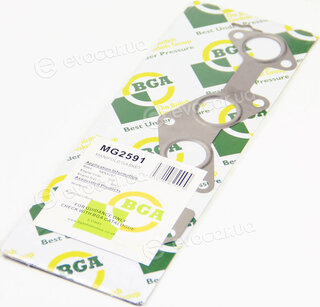 BGA MG2591