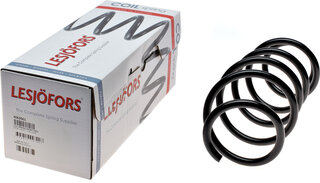 Lesjofors 4063501