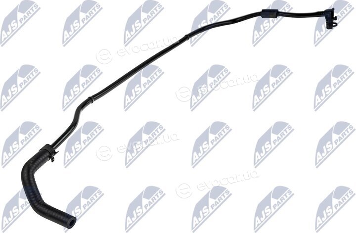 NTY CPP-PL-004