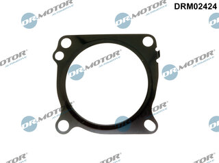 Dr. Motor DRM02424