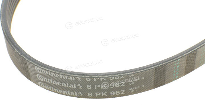Continental 6PK962