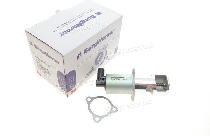 Wahler / BorgWarner 710725D