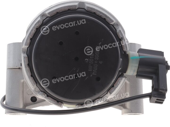 Ucel 61381