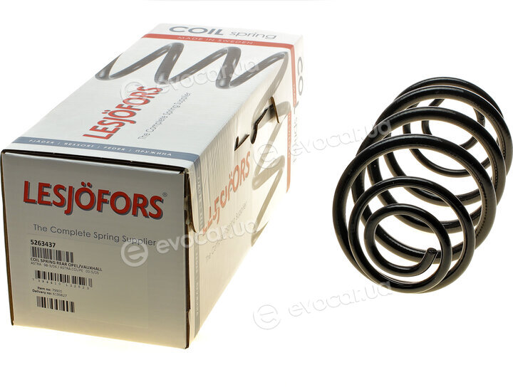 Lesjofors 5263437