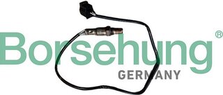 Borsehung B13178