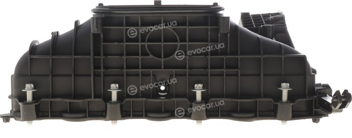 AIC 55925