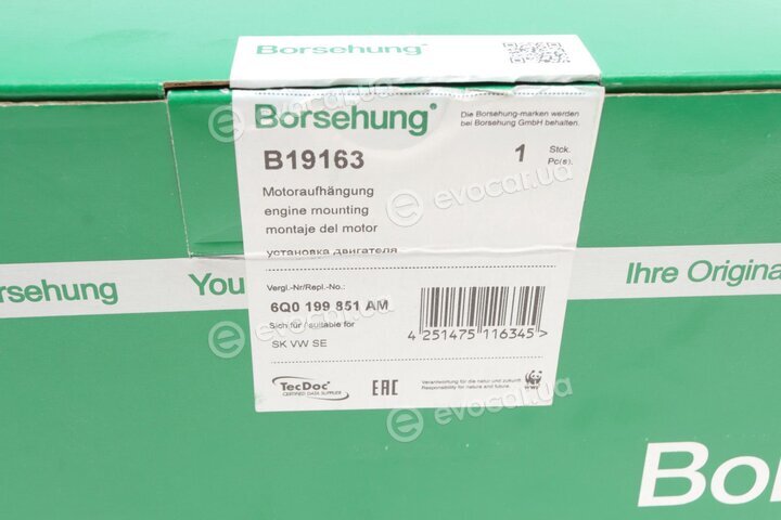 Borsehung B19163