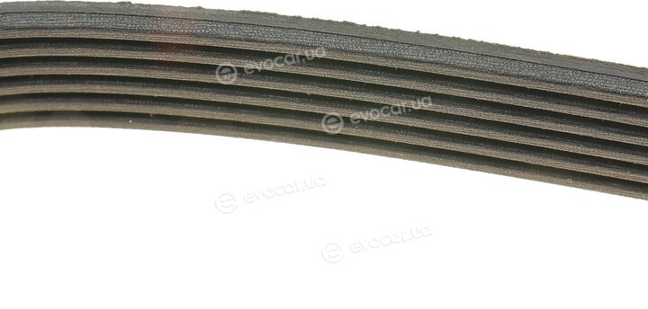 Dayco 6PK1000