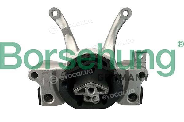 Borsehung B12639
