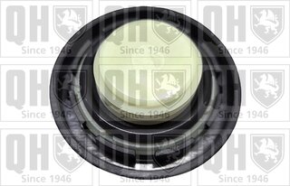 Quinton Hazell FC583