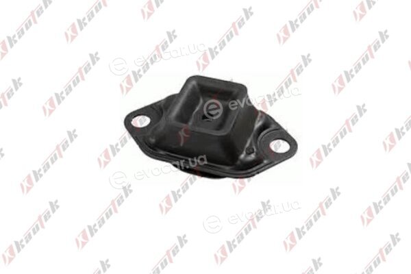 Kautek DC-EM017
