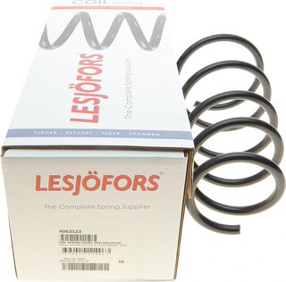 Lesjofors 4063523