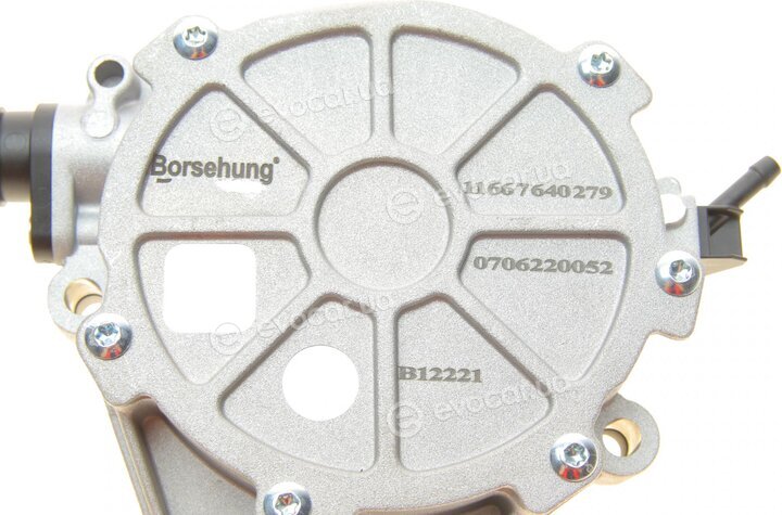 Borsehung B12221