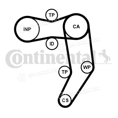 Continental CT939WP11PRO