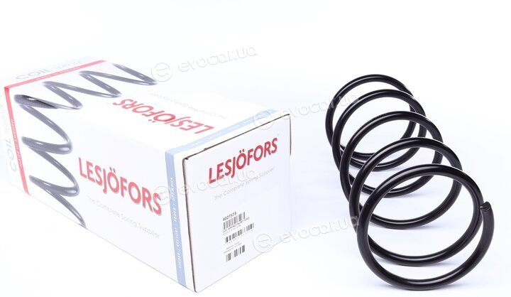 Lesjofors 4027573