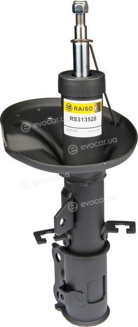 Raiso RS313528