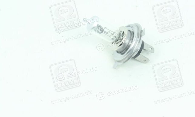 Bosch 1 987 302 042