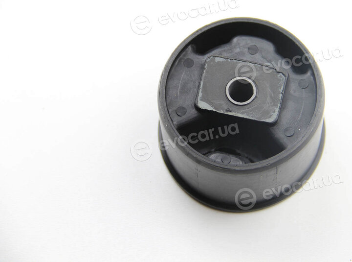 BC Guma 0632