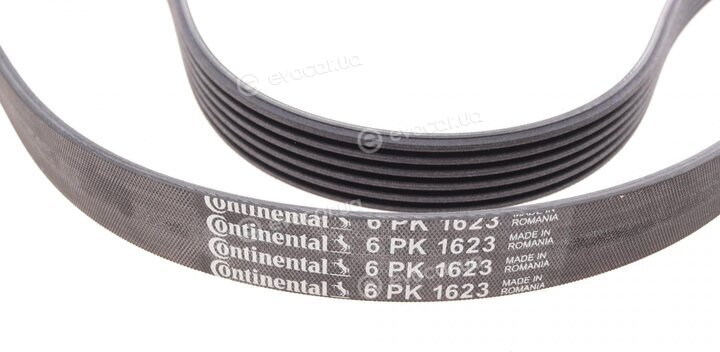 Continental 6PK1623