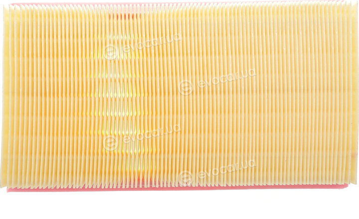 Solgy 103147
