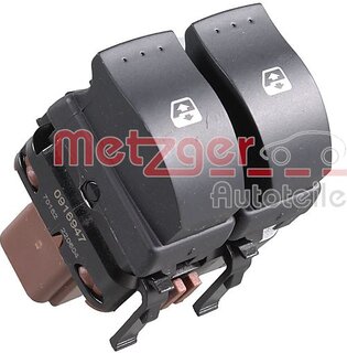 Metzger 0916947