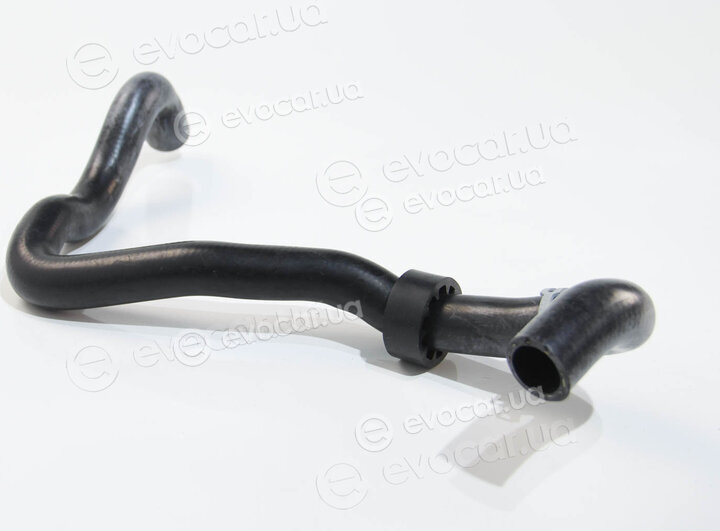 Rapro R12713