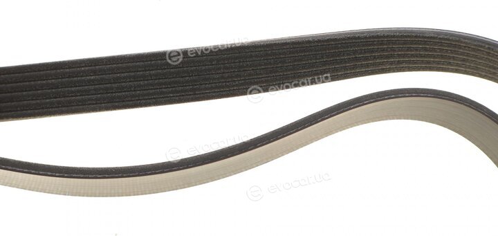 Dayco 6PK1525S