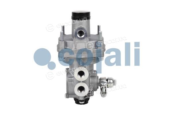 Cojali 2220339