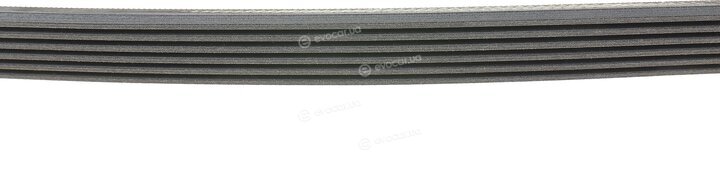 Continental 6PK1210