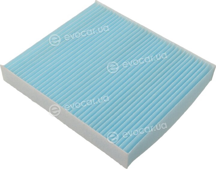 Blue Print ADG02548