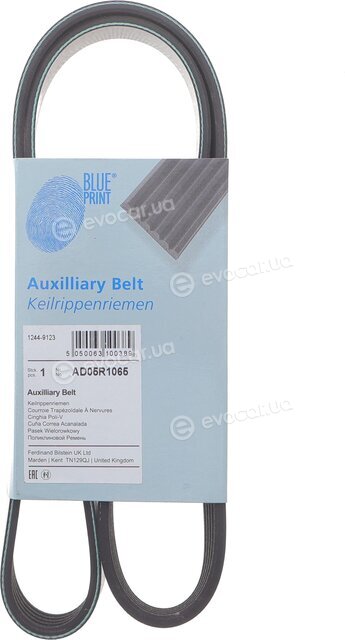 Blue Print AD05R1065
