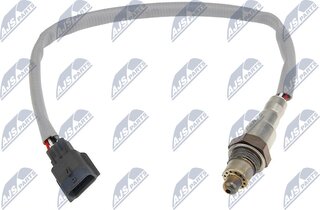 NTY ESL-NS-024