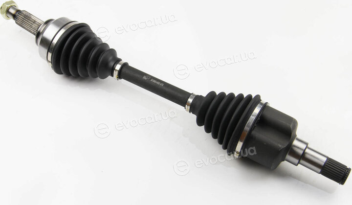 BGA DS2303L