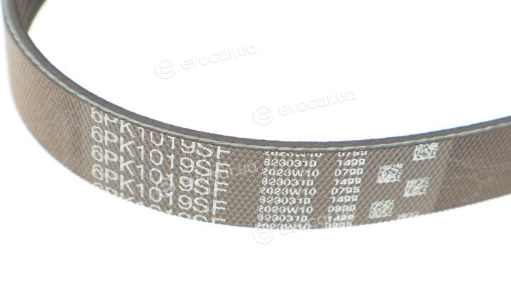 Gates 6PK1019SF