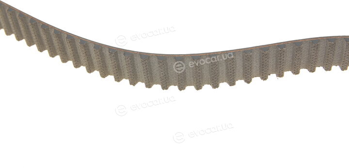 Gates K015606XS