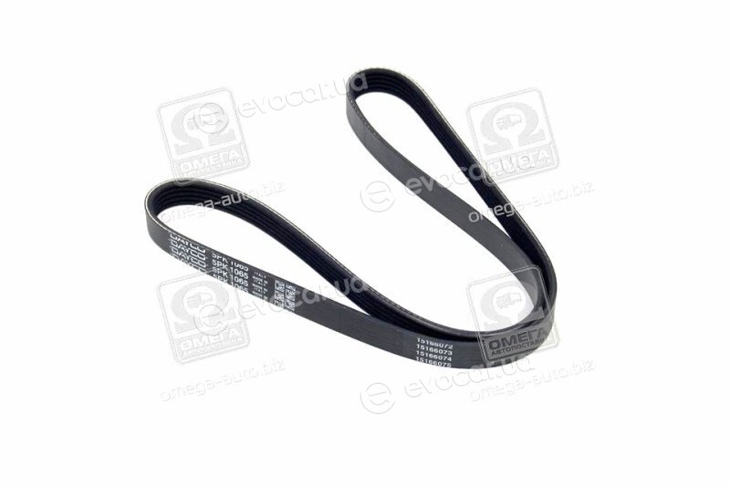 Dayco 5PK1065