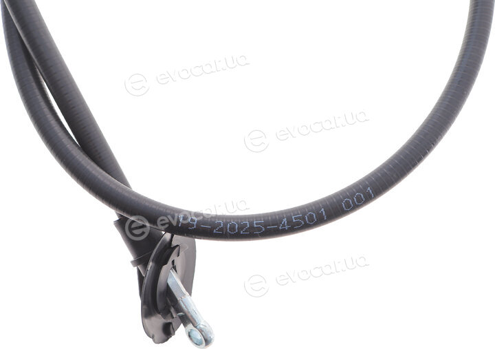 Cavo 4501 001