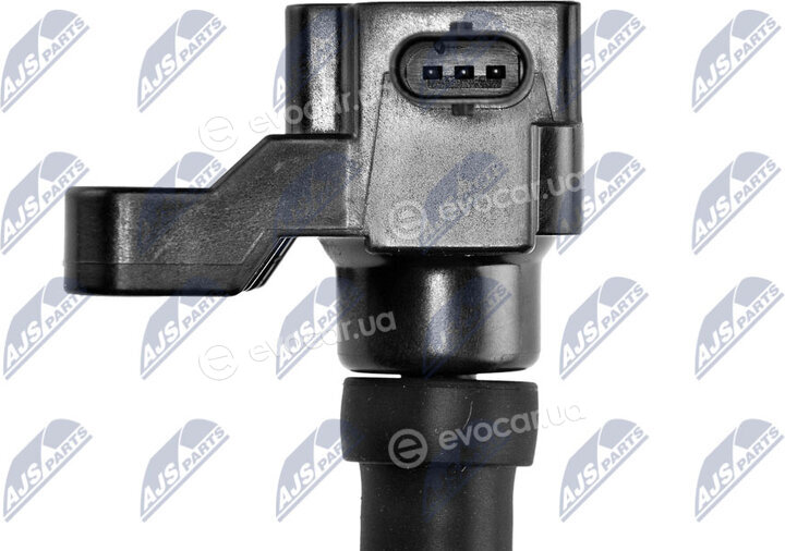 NTY ECZ-FR-019