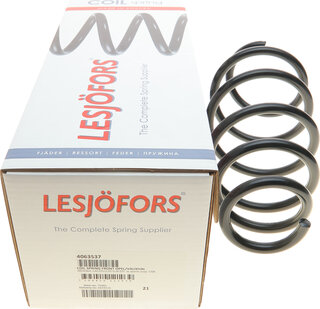 Lesjofors 4063537